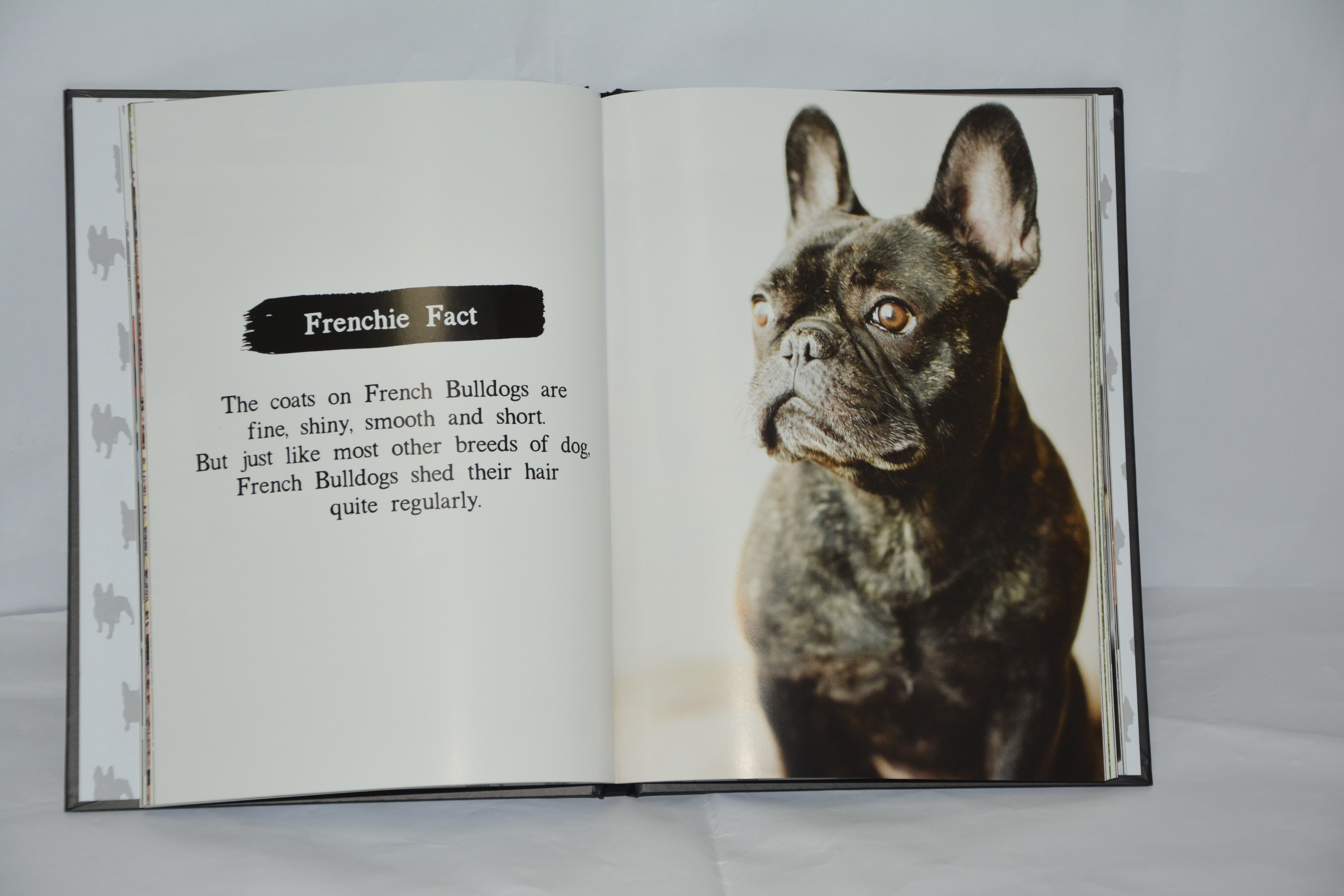 Hardcover Coffee Table Book The Book of Frenchies 