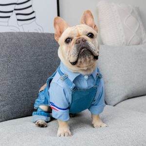 Denim French Bulldog Overalls - Adjustable Fit, Six Different Sizes