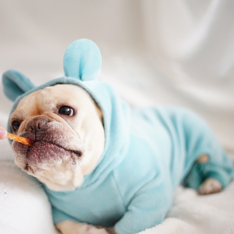 French Bulldog Pajamas - \