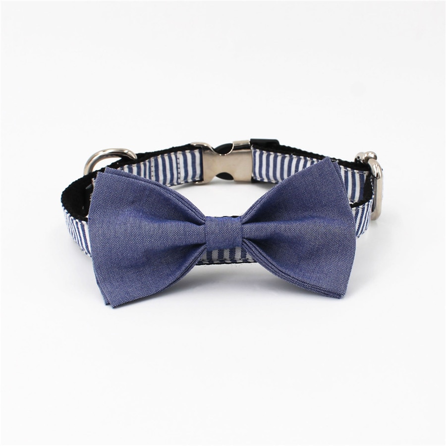Blue Striped French Bulldog Bow Tie Collar With Matching Leash - Ask ...
