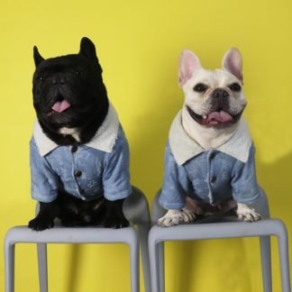 French Bulldog Denim Jacket Ask Frankie French Bulldog Denim Jacket Ask Frankie