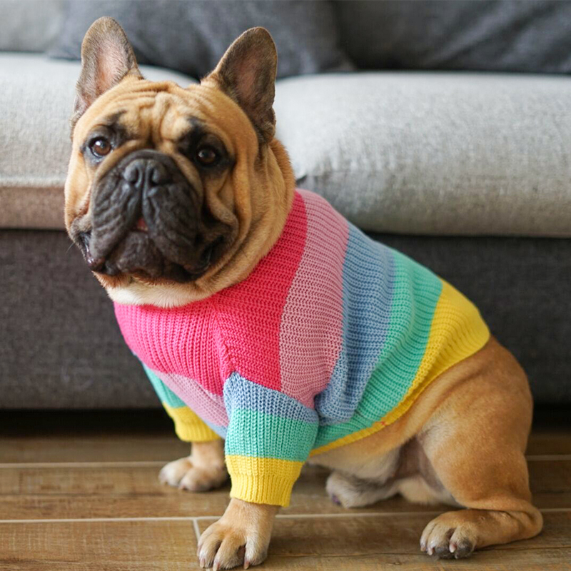 Rainbow Dog Sweater For French Bulldogs 