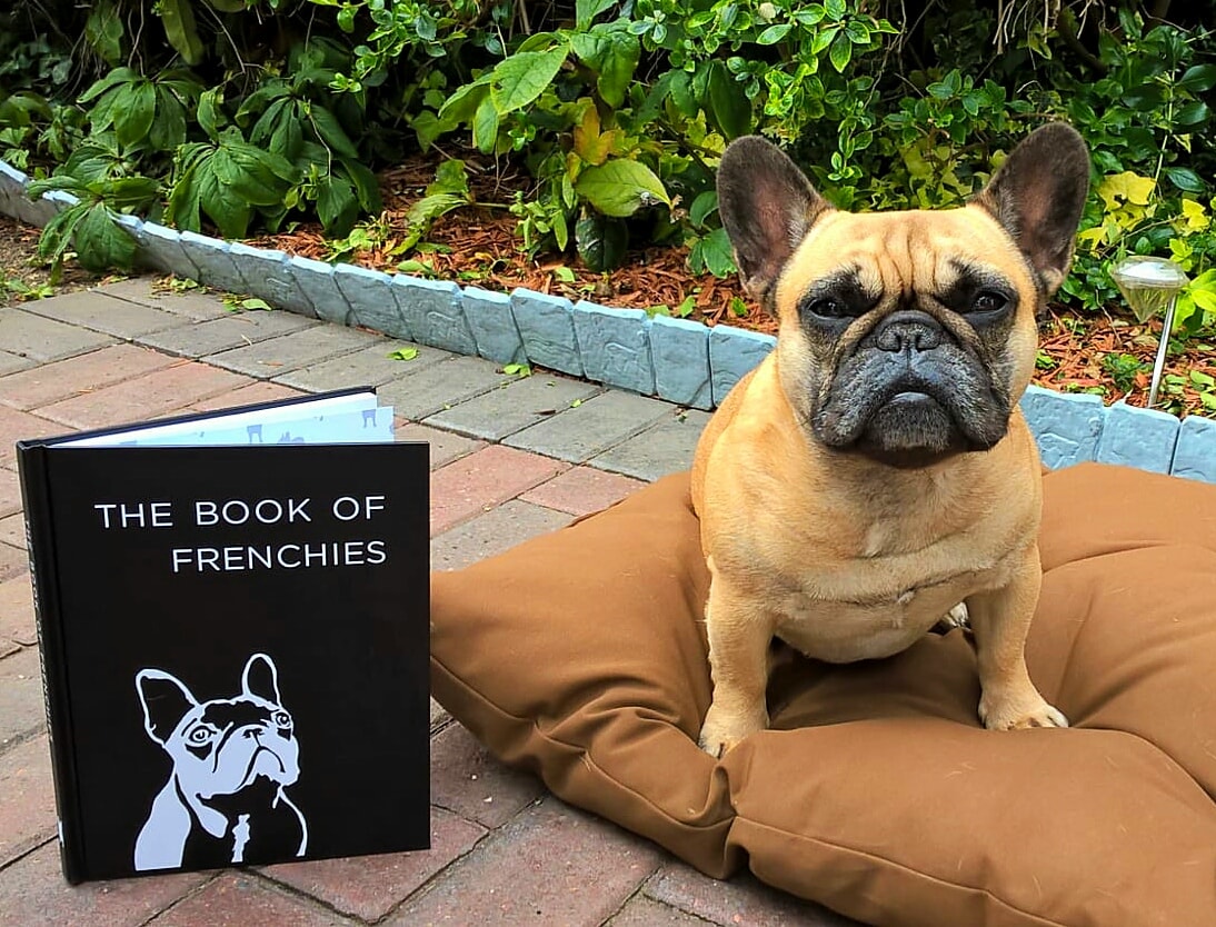 Book of Frenchies Review Image